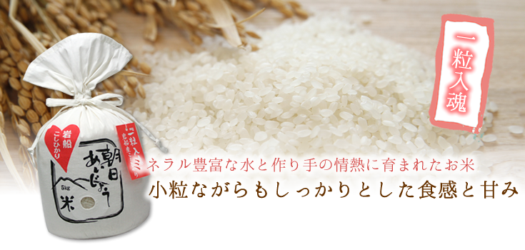 令和5年産新米】朝日あいじょう米こしひかり　岩船産コシヒカリの通販　2kg　お米のヨコヤマ