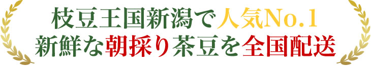 新潟県産黒埼茶豆