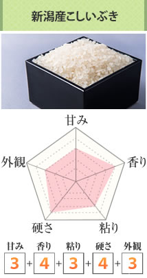 新潟産こしいぶき