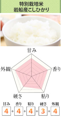 特別栽培米岩船産こしひかり