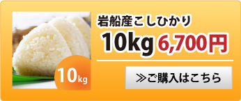 岩船産こしひかり10kg