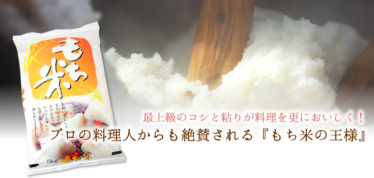 令和5年産】新潟産こがねもち　お米のヨコヤマ　5kg　岩船産コシヒカリの通販