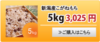 新潟産こがねもち5kg