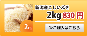 新潟産こしいぶき2kg