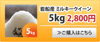 岩船産ミルキークイーン5kg