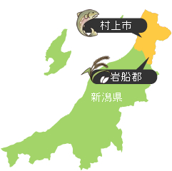 岩船産のお米