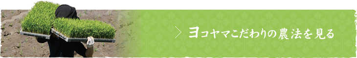 ヨコヤマこだわりの農法