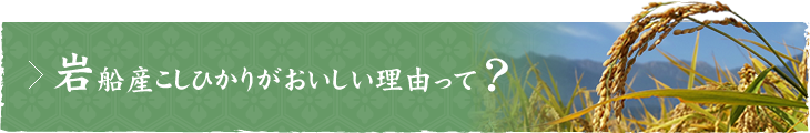 岩船産こしひかりがおいしい理由