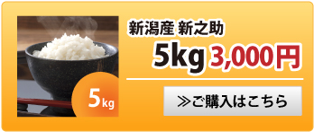 新之助5kg