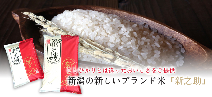 岩船産コシヒカリの通販　令和5年産新米】新潟県産「新之助」5kg　お米のヨコヤマ