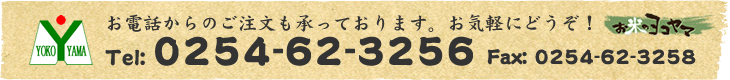 お問い合わせ・ご注文はこちら