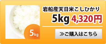 天日米こしひかり5kg