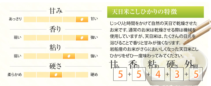 天日米こしひかりの特徴