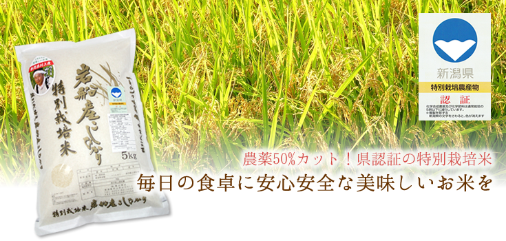 岩船産コシヒカリの通販　令和5年産新米】岩船産こしひかり特別栽培米　5kg　お米のヨコヤマ