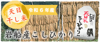 岩船産こしひかり 天日干し米