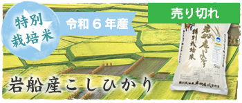 特別栽培米岩船産こしひかり