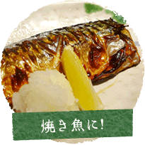 焼き魚に