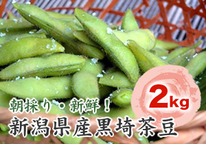 新潟産枝豆「黒埼茶豆」2kg お取り寄せ | 新潟の特産品｜新潟のおいしいお米の通販【お米のヨコヤマ】