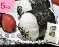 令和6年産】岩船産こしひかり 5kg | 岩船産コシヒカリの通販 お