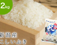 koshiib2-190x150.jpg