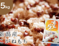 令和6年産】新潟産こがねもち 5kg | 岩船産コシヒカリの通販 お