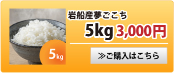 夢ごこち5kg