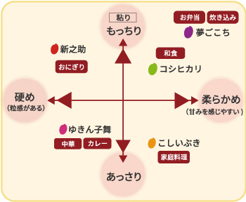 夢ごこち