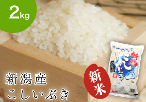 koshiib2