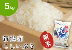 koshiib5