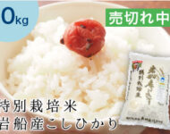 【高級米10キロ(5kg×2袋)】岩船こしひかり 特別栽培米(農薬化学肥料削減) 000000000066-01-m.jpg?t=