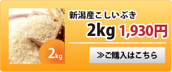 新潟産こしいぶき2kg