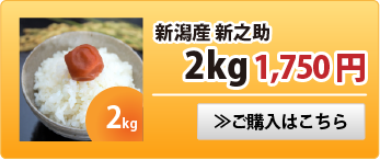 新之助2kg
