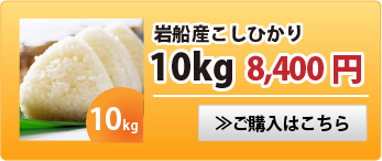 岩船産こしひかり10kg