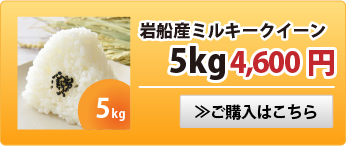 岩船産ミルキークイーン5kg