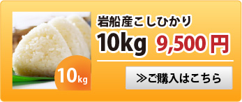 岩船産こしひかり10kg