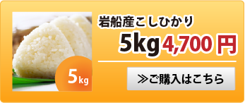 岩船産こしひかり5kg