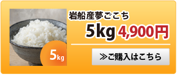 夢ごこち5kg