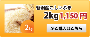 新潟産こしいぶき2kg