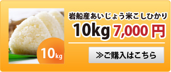 岩船あいじょう米こしひかり10kg