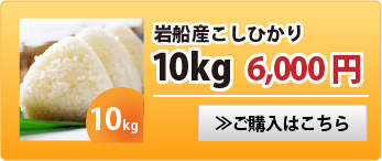 岩船産こしひかり10kg