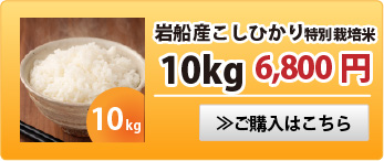 岩船産こしひかり特別栽培米10kg