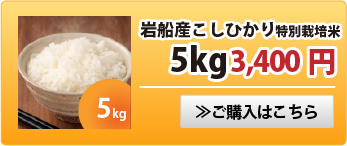 岩船産こしひかり特別栽培米5kg