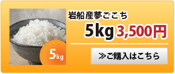 夢ごこち5kg