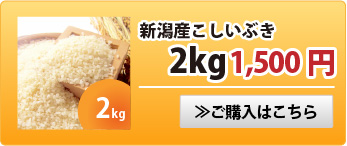 新潟産こしいぶき2kg