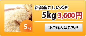 新潟産こしいぶき5kg