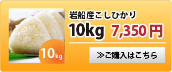 岩船産こしひかり10kg