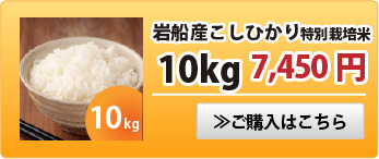 岩船産こしひかり特別栽培米10kg