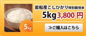岩船産こしひかり特別栽培米5kg