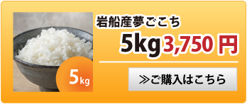 夢ごこち5kg