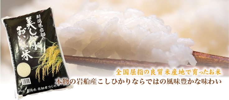 岩船産こしひかり
